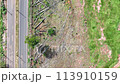 aerial view of eucalyptus trunks and felled trees on the side of the highway 113910159