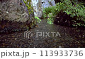 湧き水・清流・小川 113933736