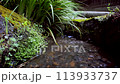 湧き水・清流・小川 113933737