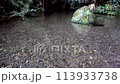湧き水・清流・小川 113933738