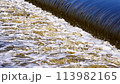 The flow of water from the outlet of an artificial dam 113982165