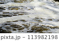 streams of water seethe in powerful waterfall, Foam floating in flowing river water 113982198