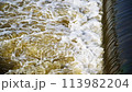 The flow of water from the outlet of an artificial dam 113982204