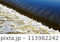 The flow of water from the outlet of an artificial dam 113982242