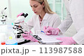 Scientific research and a female scientist looks into a microscope while a colleague writes down the test results 113987588