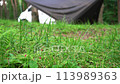キャンプ場の風景 113989363