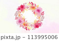 Spreading wreath frame Spreading wreath frame 113995006
