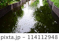 Flowing stream water surface 114112948