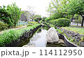 Fresh green and stream 114112950