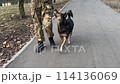 team nearby for a shepherd dog training training training with a military instructor 114136069