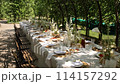 beautiful wedding table with food and drinks for an outdoor banquet in the park	 114157292