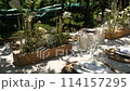 beautiful wedding table with food and drinks for an outdoor banquet in the park	 114157295