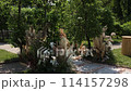a beautiful arch for a wedding ceremony in a park with chairs	 114157298