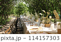 beautiful wedding table with food and drinks for an outdoor banquet in the park	 114157303