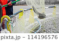 Fish Farm. The Beauty of Aquafarming: Fresh Trout in Net Close-Up 114196576