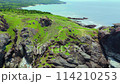Aerial view of Ishigaki Island and Cape 114210253