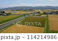 Aerial pan-down shot of a tractor spraying pesticides on a rural rice field 114214986