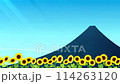 Mt. Fuji in summer, sunflowers, background loop video, illustration animation 114263120