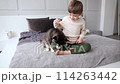 Husky little poppy plays with a child 114263442