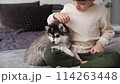 Husky little poppy plays with a child 114263448