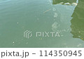 Fixed-point observation video of the river 114350945