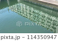 Fixed-point observation video of the river 114350947