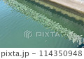 Fixed-point observation video of the river 114350948