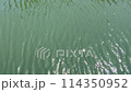 Fixed-point observation video of the river 114350952