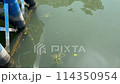 Fixed-point observation video of the river 114350954
