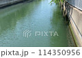 Fixed-point observation video of the river 114350956