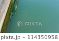 Fixed-point observation video of the river 114350958