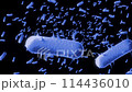 Medicine. Camera flight through blue bacteria and viruses. Anatomy. Inside a human being. Immunity. 114436010
