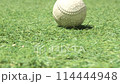 野球　ボール　転がるボール 114444948