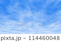 大空を飛行する 114460048