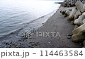 A beach 114463584
