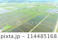 Drone aerial photography: Panoramic view of rice fields and mountains in Asahikawa, Hokkaido 114485168