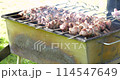 outdoor barbecue, cooking meat on the grill 114547649