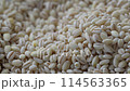 もち麦 114563365