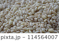 もち麦 114564007