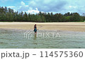 Aerial view of the beach on Ishigaki Island 114575360