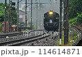 土砂降りの中をライトを照らし汽笛を鳴らすSL大樹(C11) 114614871