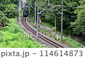 煙を吐きながら坂道を上る東武鉄道のSL大樹 114614873