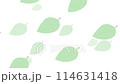循環背景與飛葉 114631418