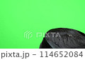 Carrion crow up 114652084