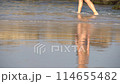 beach, female, foot 114655482