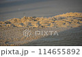 beach, ocean, sand 114655892