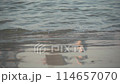 Waves of Mediterranean Sea rolling in to the sandy beach. Reflection on the wet send and walking feet. Close-up shot of calming water 114657070