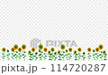 たくさんのひまわりが揺れるループ動画 114720287