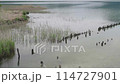 恐山烏索里湖 114727901