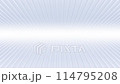 背景素材　インフォグラフィックの背景に 114795208